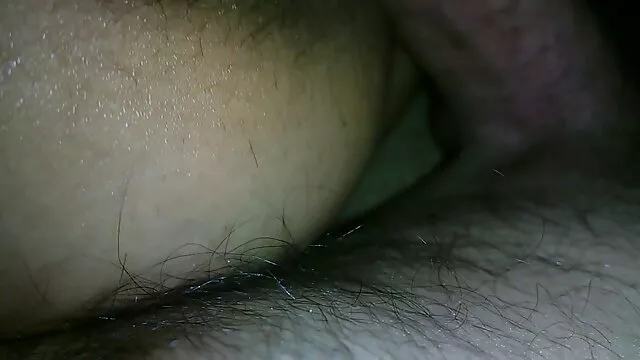 ოსტატი მეთევზე ლამაზი, დაჭერა მამალი ვიბრატორი (მთელი სამეფო.)
